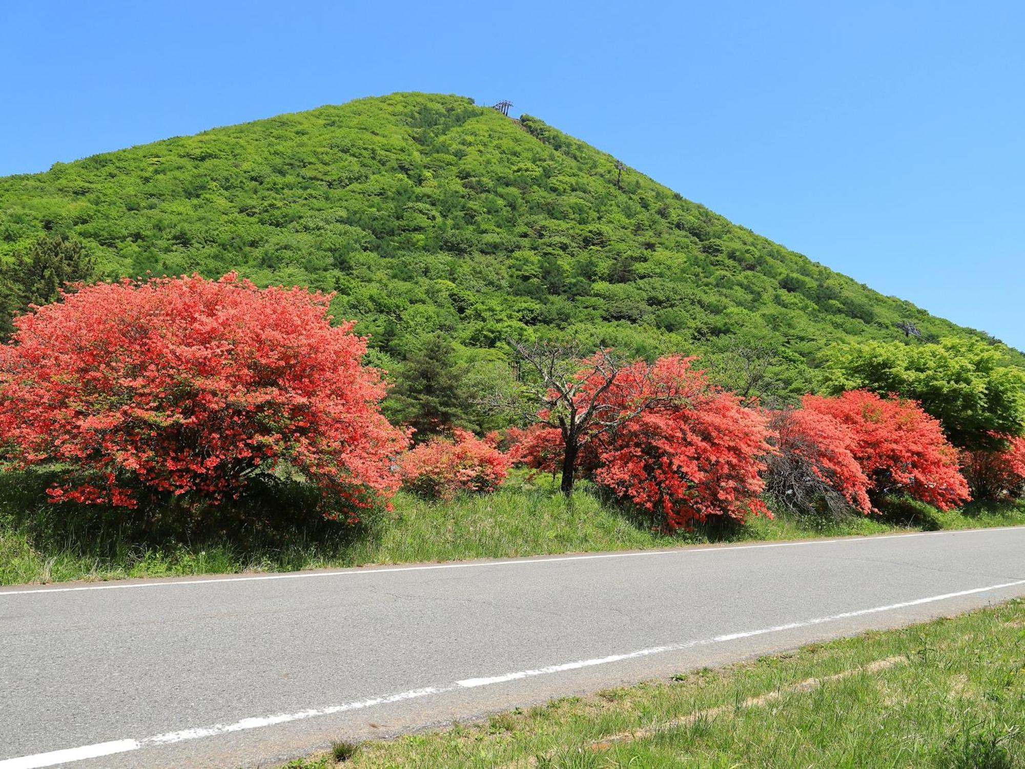 Omori Hotel Shibukawa Buitenkant foto